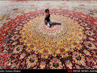 Persian Rug Cleaning