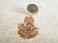 Blood, Coffee & Urine on your rug