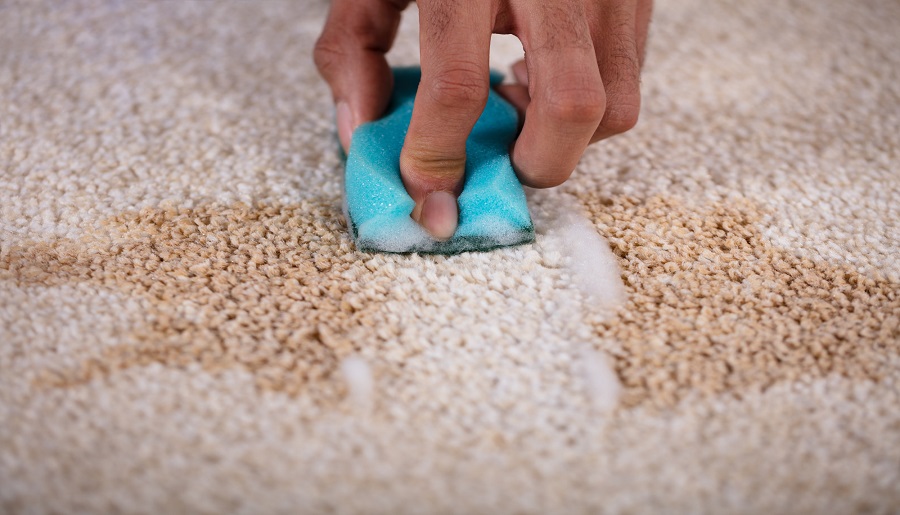 Food Stains on Rugs: How Devine Rug Care Experts Remove Them?