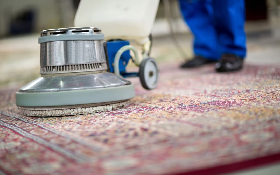 Best Time of Year for Affordable Rug Cleaning in Sydney (Pricing Tips)