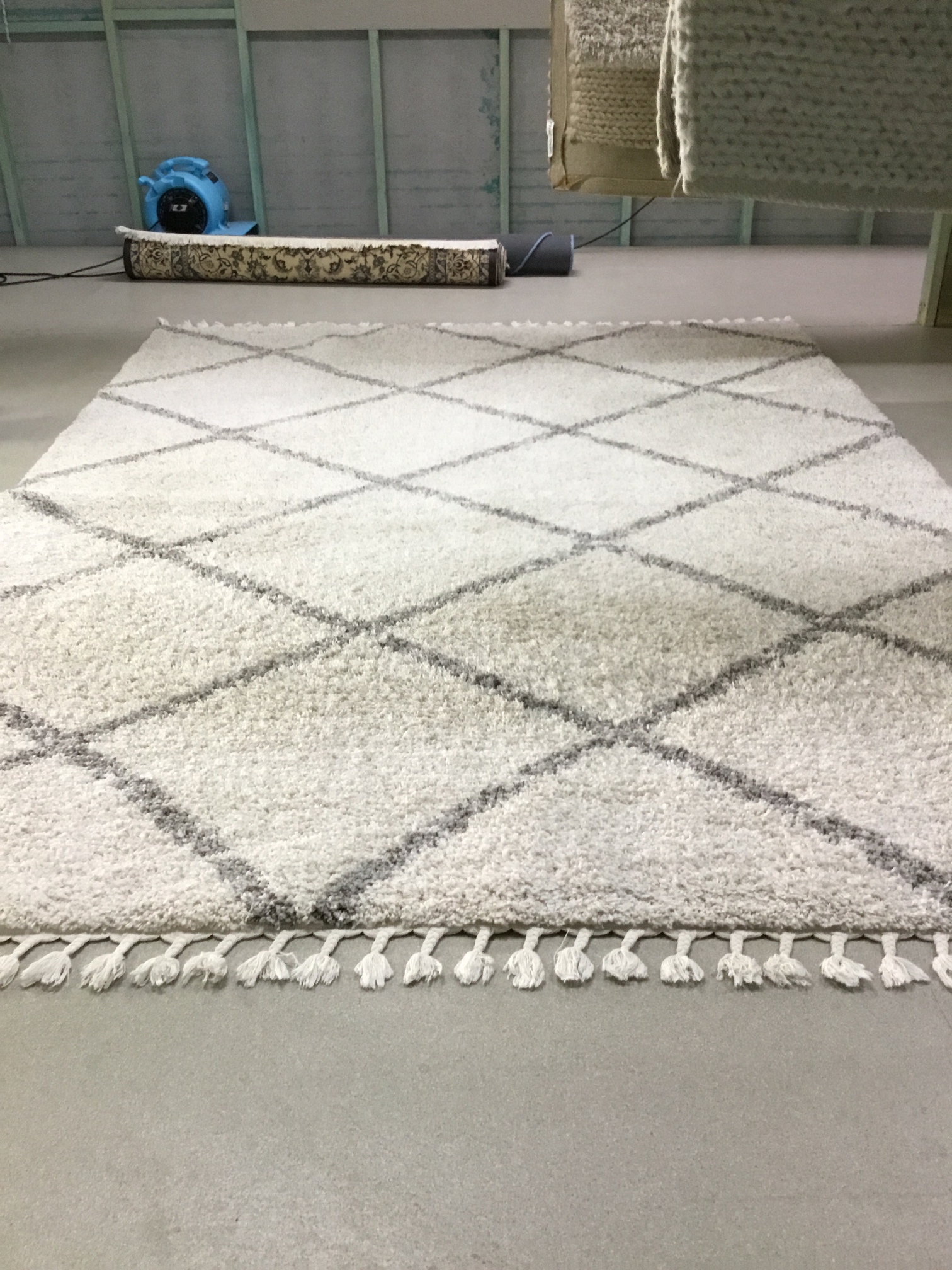 Oriental Rug Cleaning