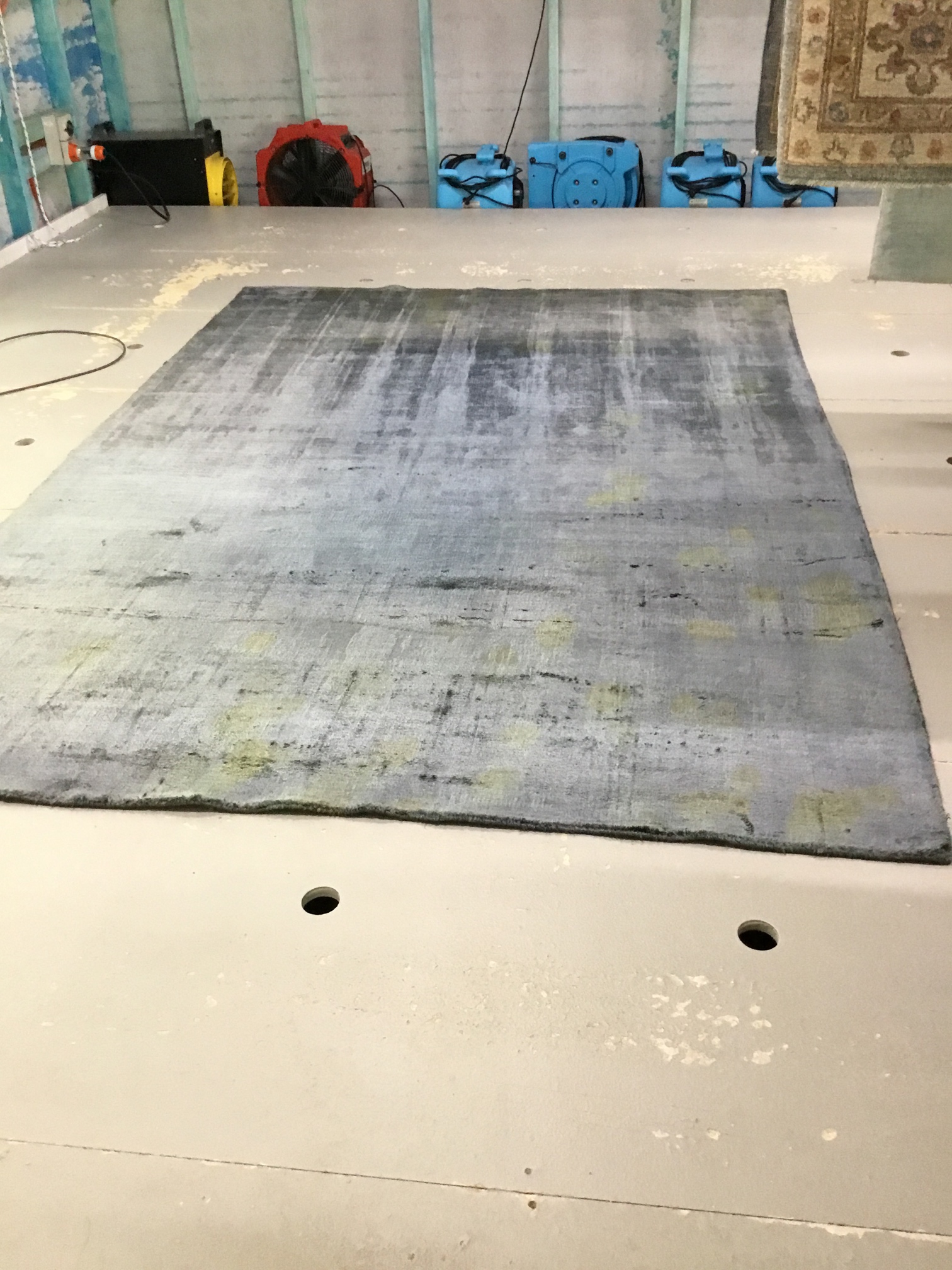 Wool Rug Cleaning